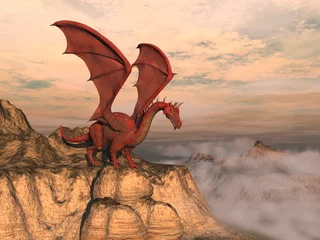Wall murals Dragons Dragón