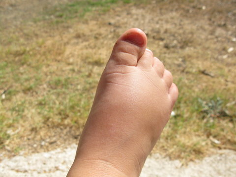pieds