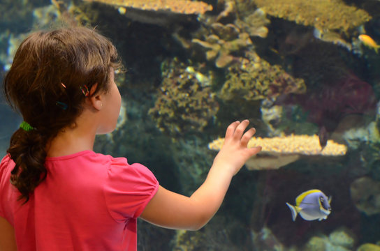 Girl in  in oceanarium