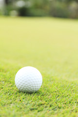 golf ball on green grass