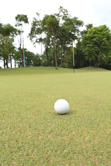 golf ball at the green ready for putting