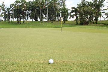 golf ball at the green ready for putting