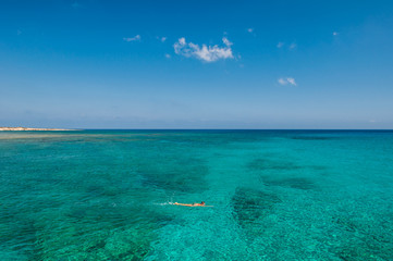 Fototapeta premium sea ​​diver