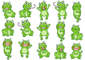 Obraz premium frog