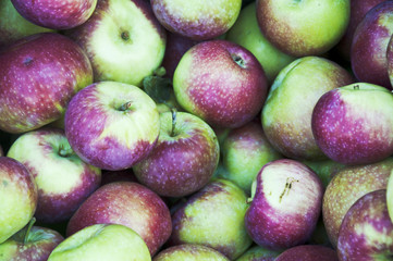 apples