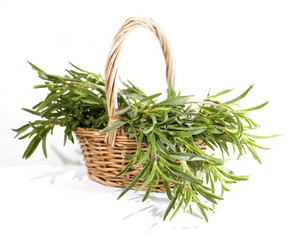 Rosemary bunch