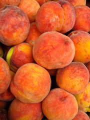 Many bright tasty peaches