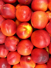 a lot of red nectarines
