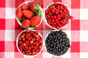 Wild berries in bowls