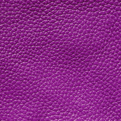 vivid  leather texture
