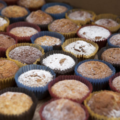 Vanilla muffins with chocolate chips