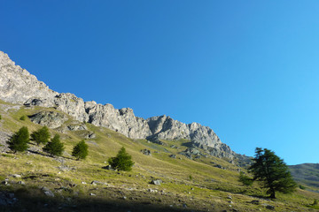 Valle alpina nelle prime ore del mattino