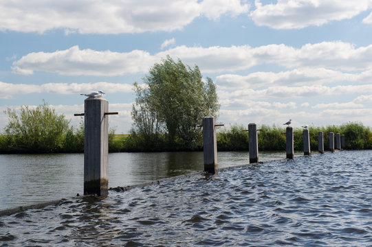 Poles in river