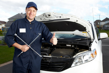 Professional auto mechanic.