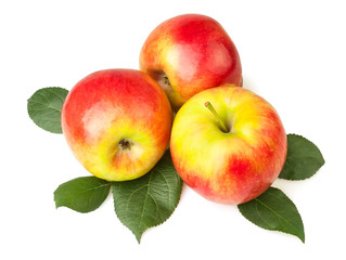apples on leaves