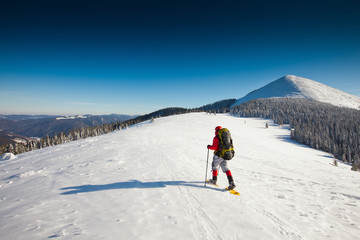 Fototapeta na wymiar Hiker w górach zimą rakietach śnieżnych