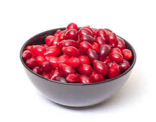 Dogberry in Bowl