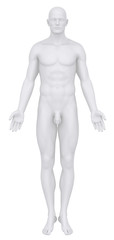 Male body in anatomical position anterior view clipping path