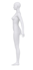 Female body in anatomical position lateral view clipping path