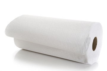 Paper Towel Roll