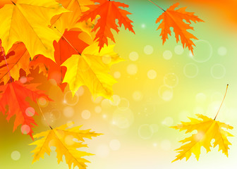 Naklejka na ściany i meble Autumn background with leaves. Vector