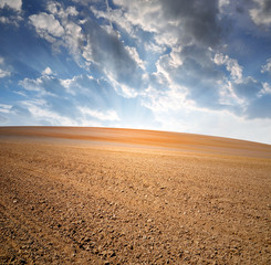 spring field in the sunset