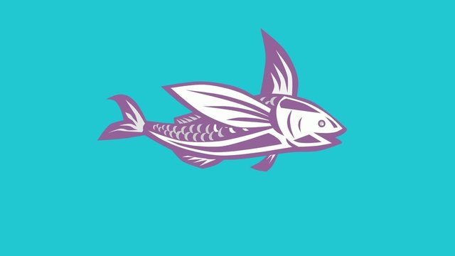 flying fish swimming retro
