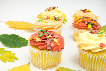 Cupcake autumn decoration