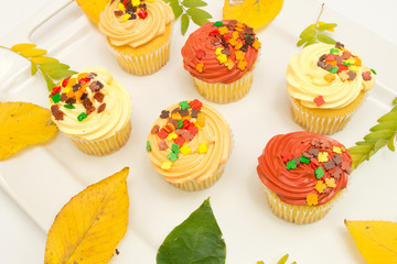Cupcake autumn decoration