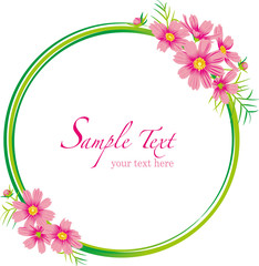 コスモス　フレーム