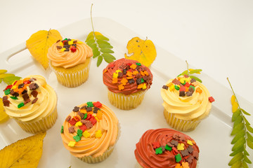 Cupcakes with autumn decoration