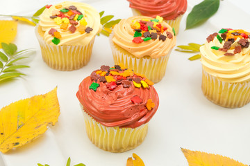 Cupcakes with autumn decoration