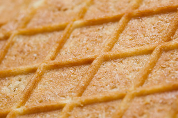 waffle texture closeup