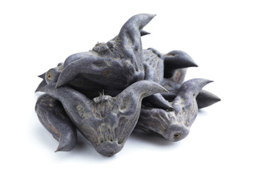 Horn Shaped Water Caltrop