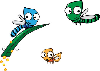 The life cycle of the dragonfly