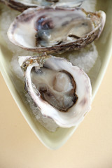 Oysters Natural