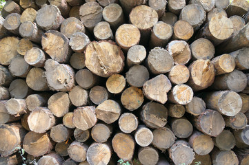 Timber stack