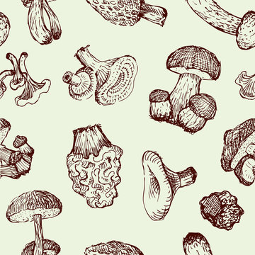 pattern with a mushrooms