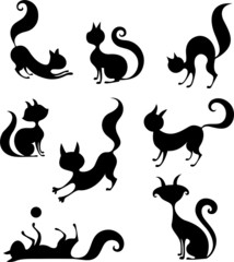 cat set