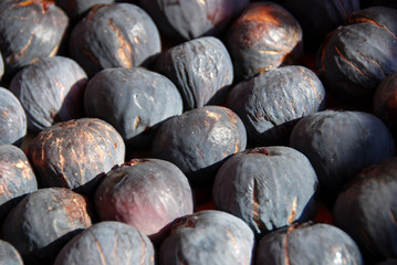 Figs