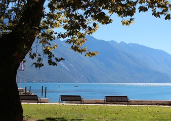 Riva