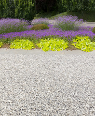 exotic garden detail