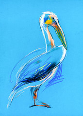 Sketch of a pelican