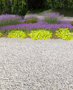 exotic garden detail