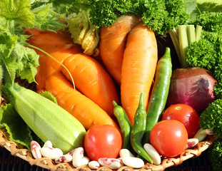 Fresh vegetables