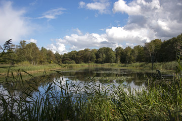 Nature in Holland
