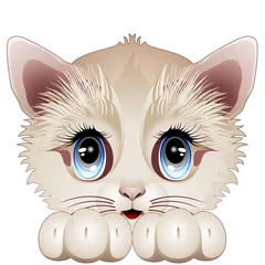 Deurstickers Katten Cute Kitten Cartoon Character-Cat Kitten Puppy-Vector