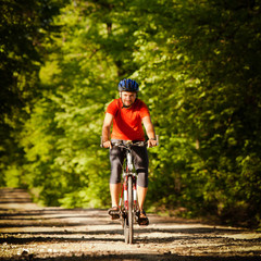 Biker on the forest road
