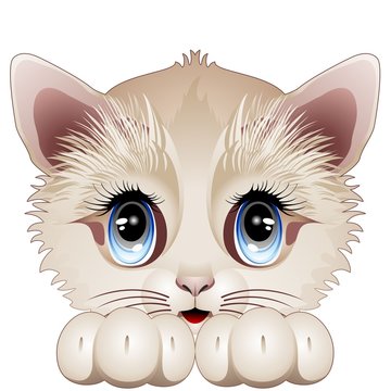Cute Kitten Cartoon Character-Gatto Gattino Cucciolo-Vector