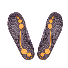 New running shoe isolated on white background. View from the bot